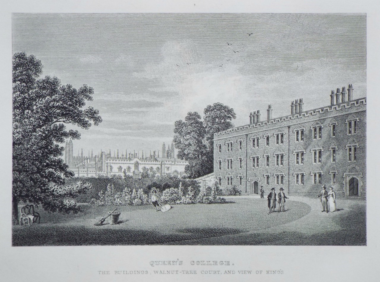 Print - Queen's College. The Buildings, Walnut-Tree Court, and View of King's