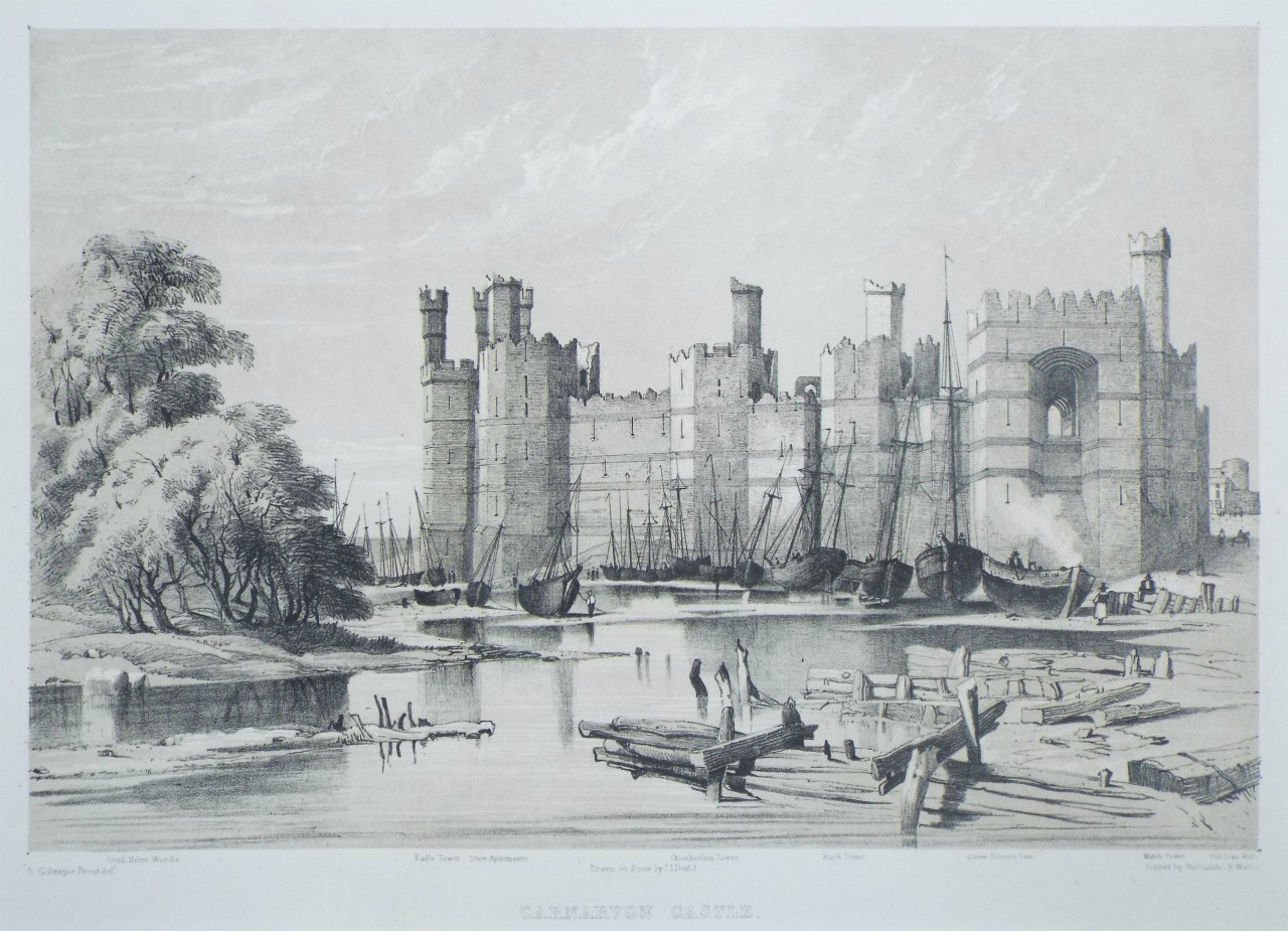 Lithograph - Carnarvon Castle. - Dodd