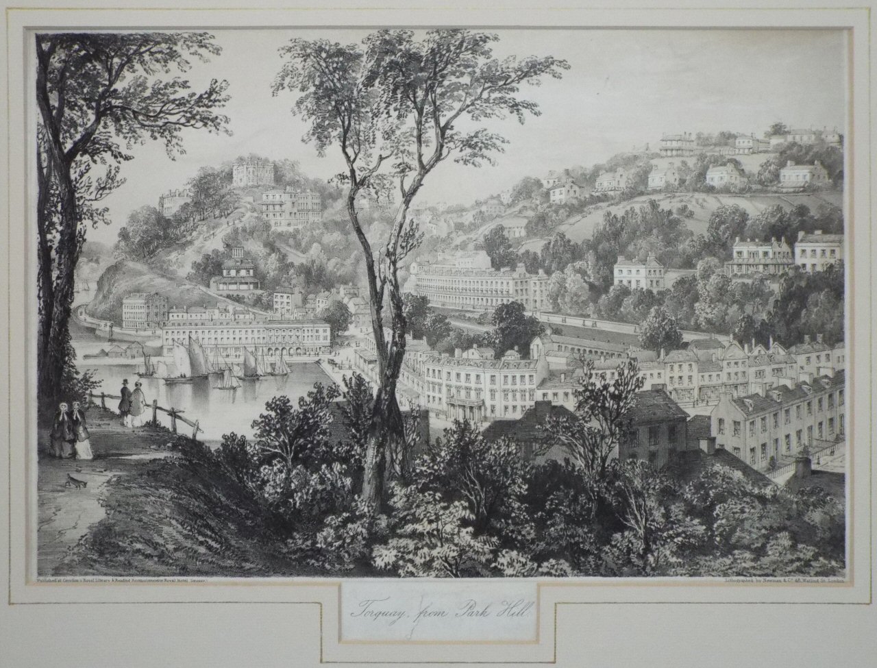 Lithograph - Torquay, from Park Hill. - Newman