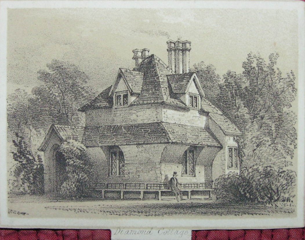 Lithograph - Diamond Cottage