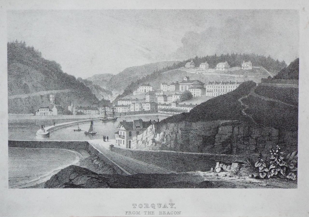 Lithograph - Torquay from the Beacon - Rowe