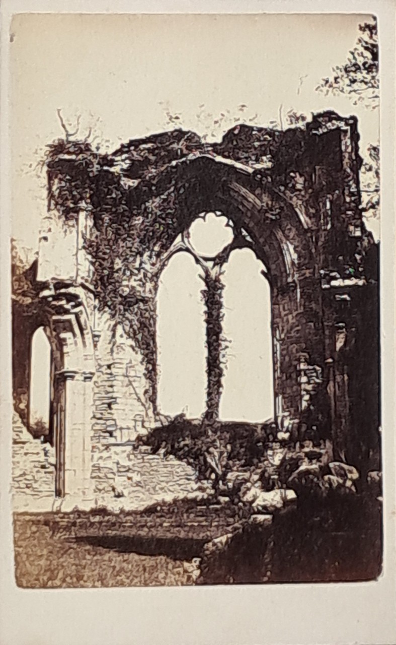 Photograph - Netley Abbey