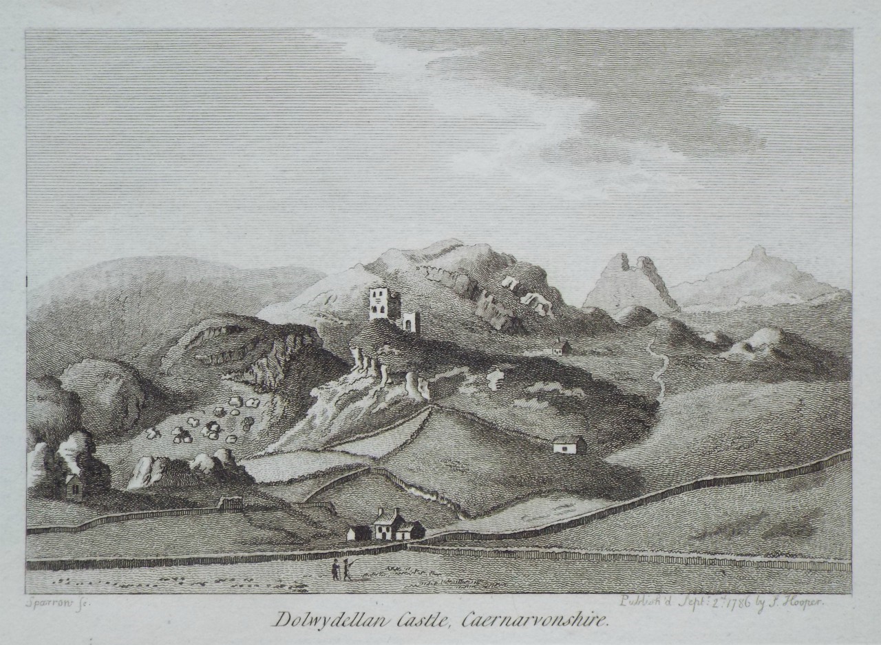 Print - Dolwydellan Castle, Caernarvonshire. - 