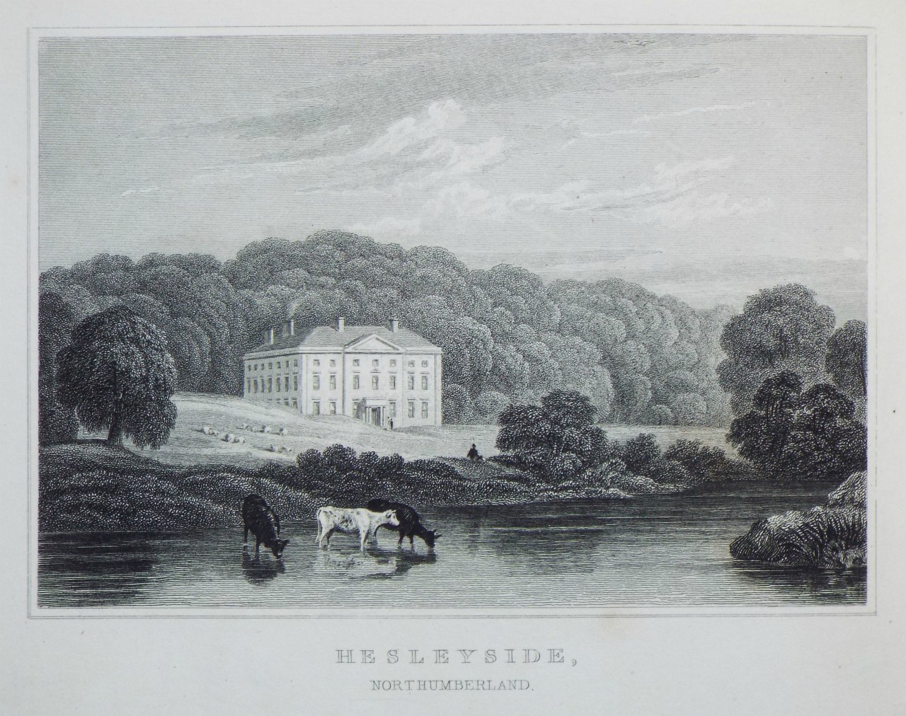 Print - Hesleyside, Northumberland.  - Radclyffe