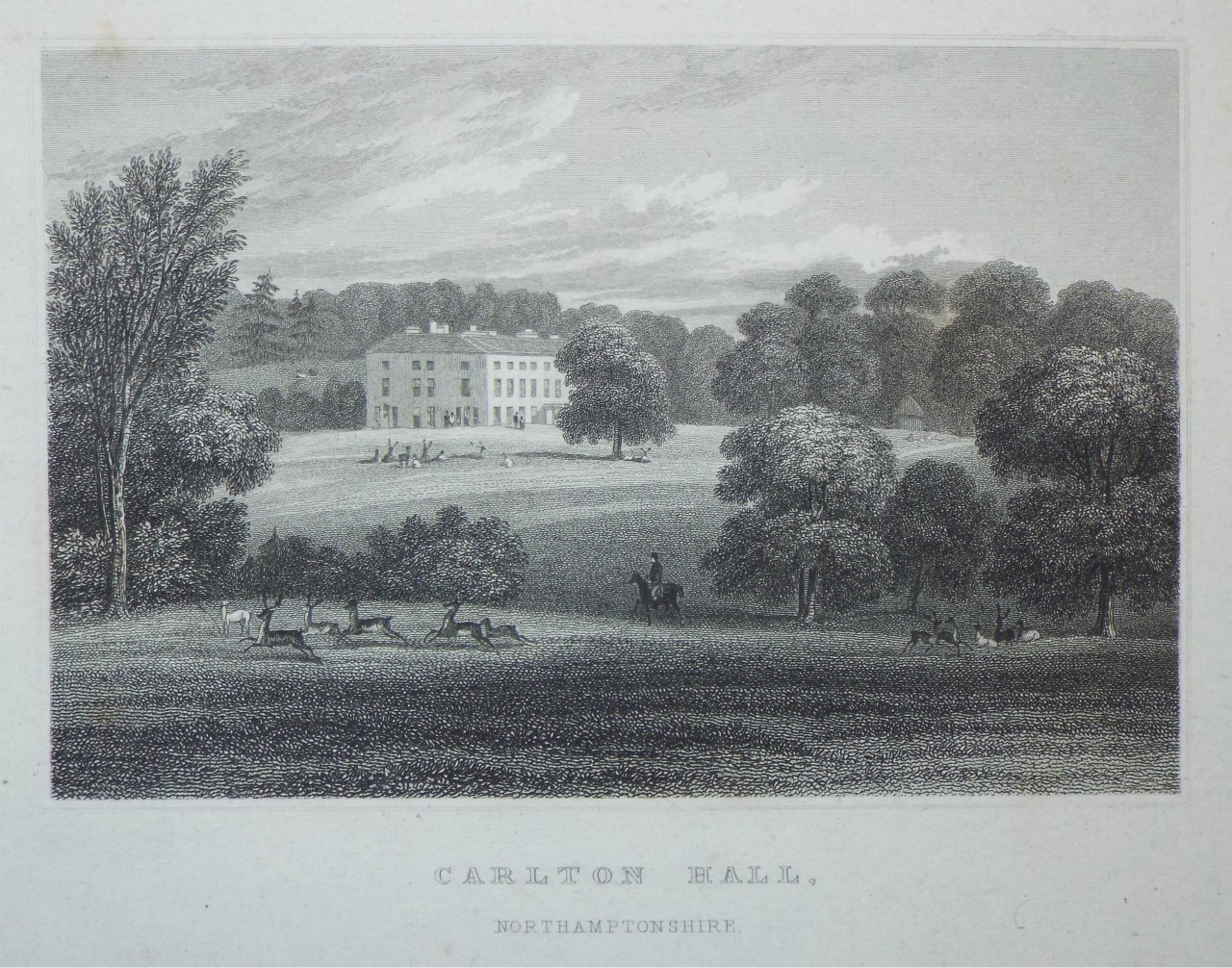 Print - Carlton Hall, Northamptonshire. - Radclyffe