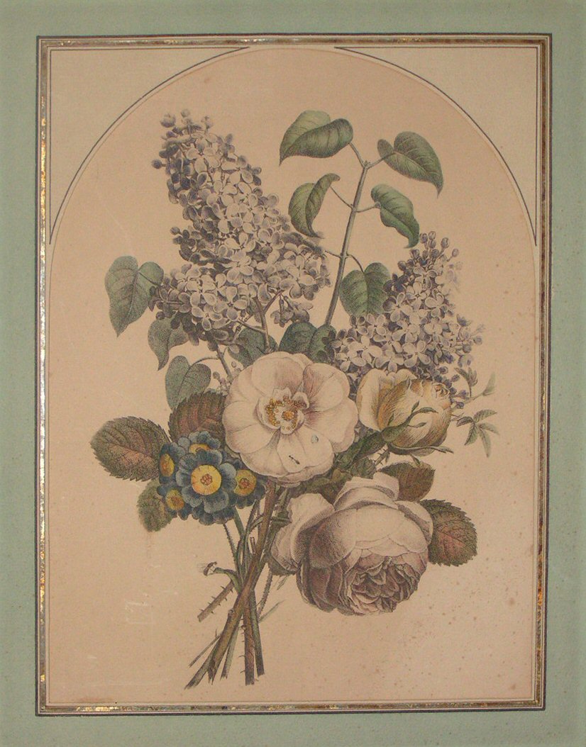 Lithograph - (Floral display)