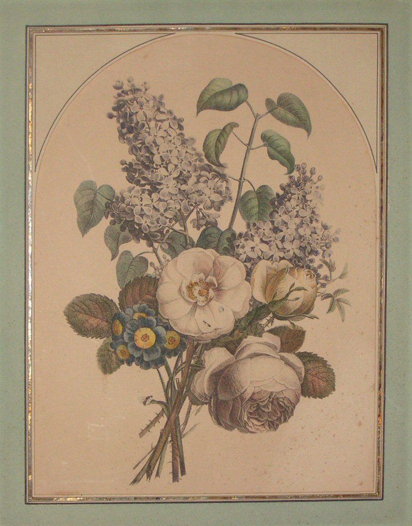 Lithograph - (Floral display)