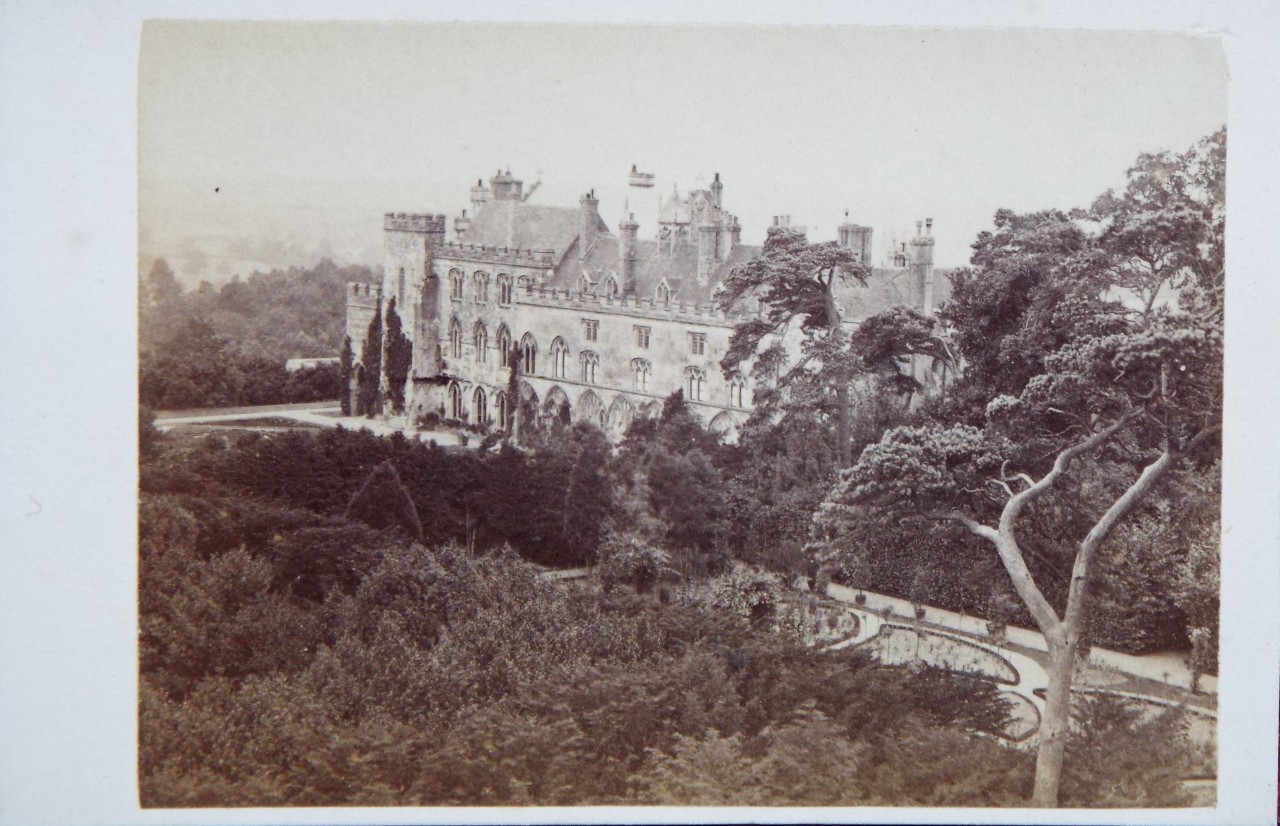 Photograph - Battle Abbey