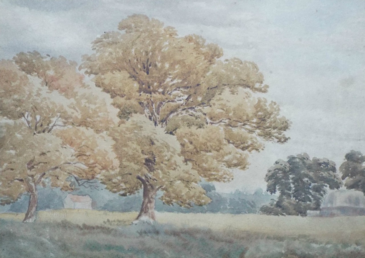 Watercolour - Meadow with two large trees
