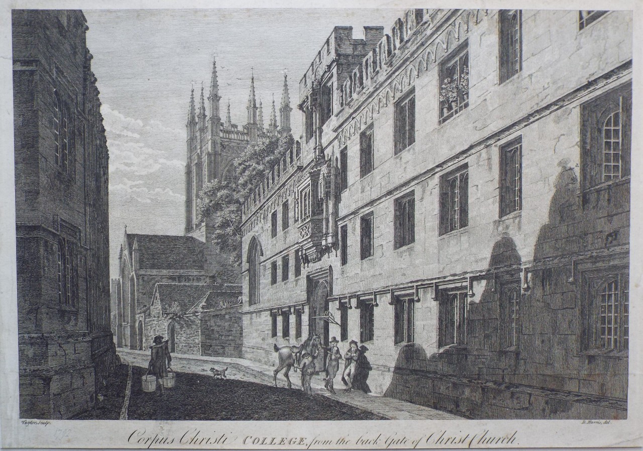 Print - Corpus Christi College, from the back Gate of Christ Church. - 