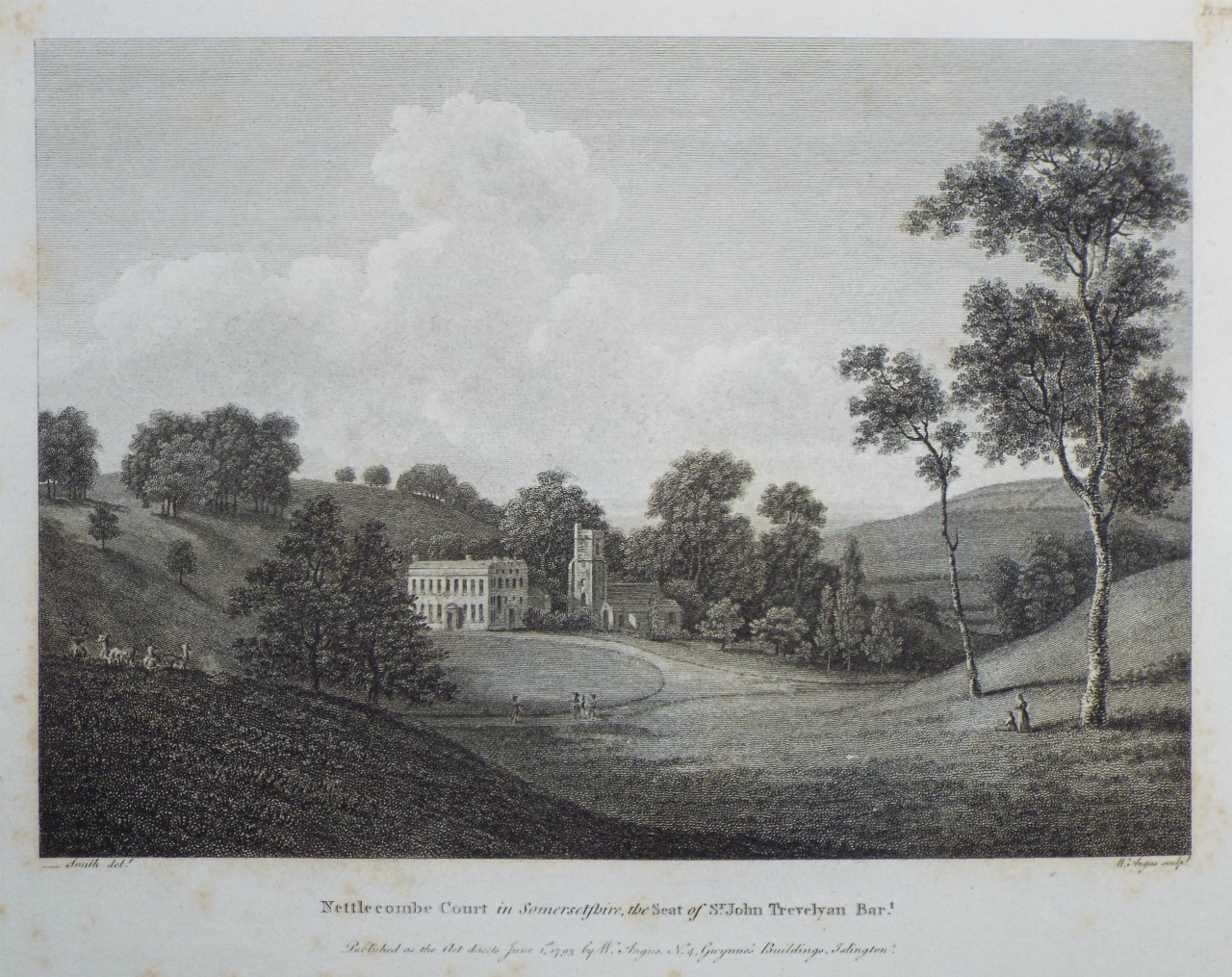 Print - Nettlecombe Court in Somersetshire, the Seat of Sir John Trevelyan Bart. - Angus