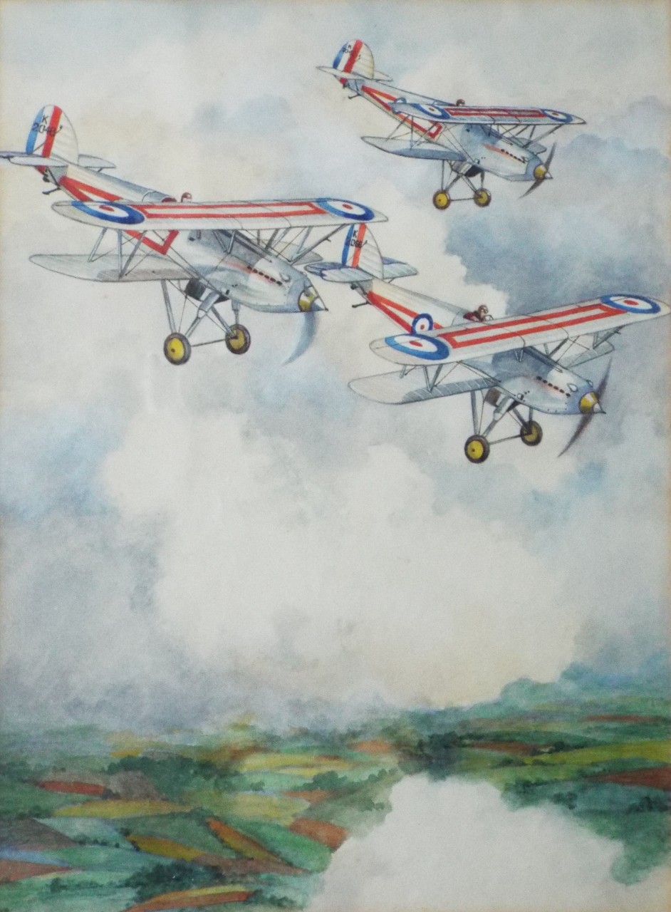 Watercolour - Two Hawker 