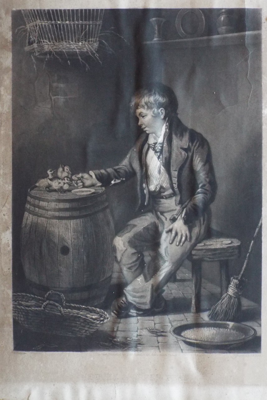 Mezzotint - Ducks & Green Peas - Dawe