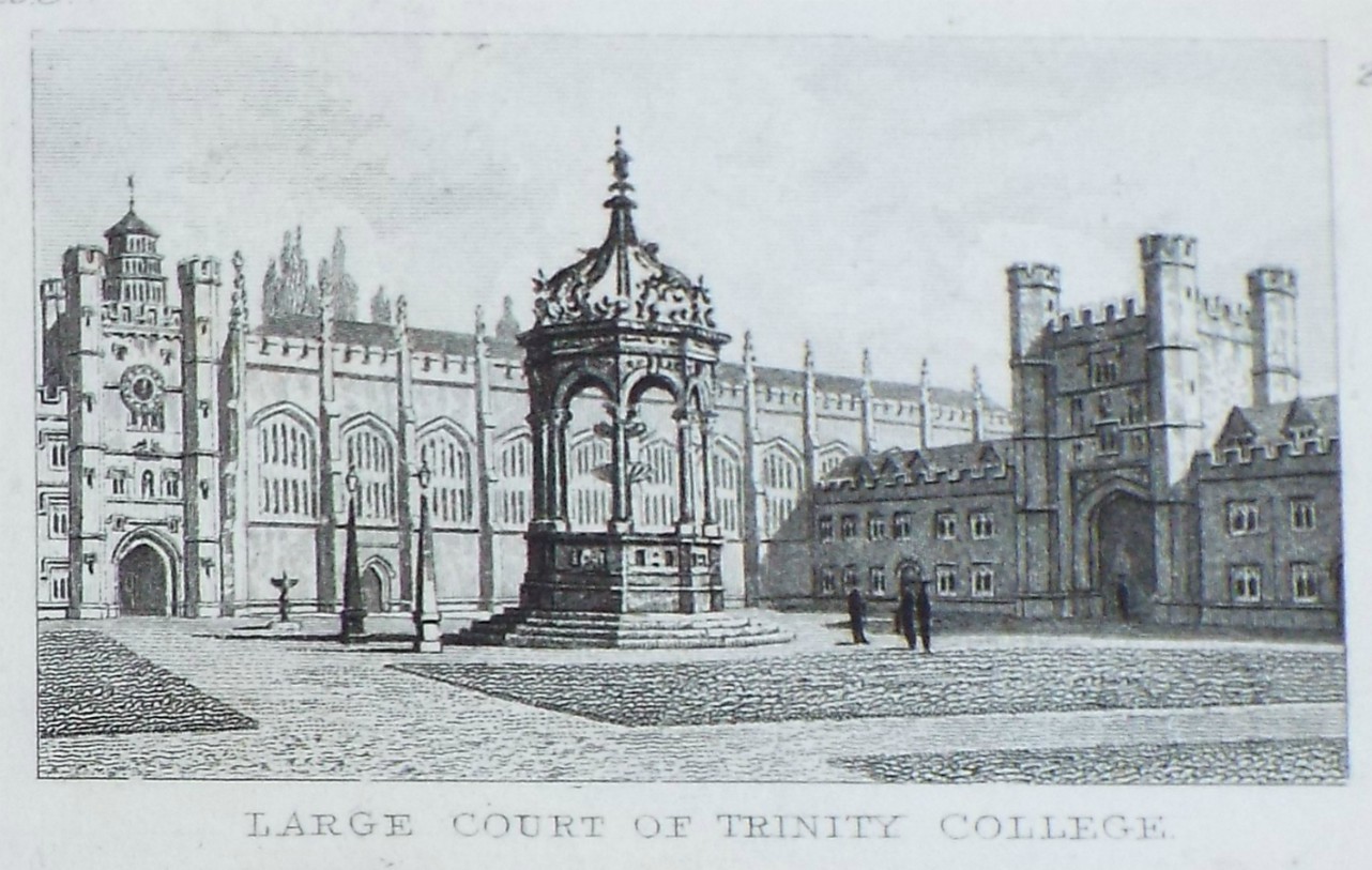 Print - Large Court of Trinity College. - Rawle