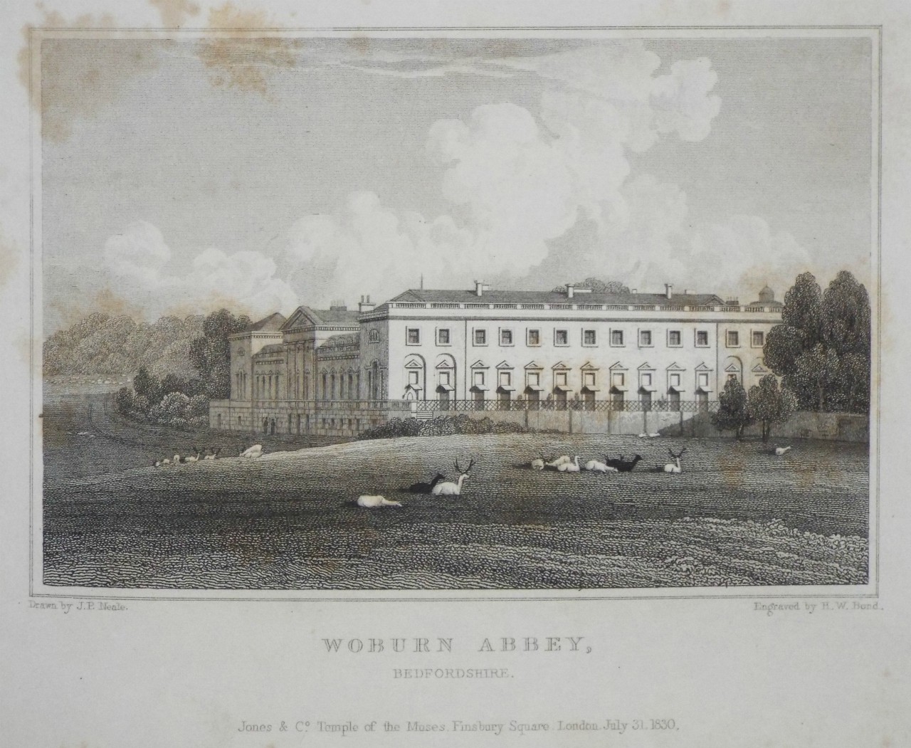 Print - Woburn Abbey, Bedfordshire. - Bond