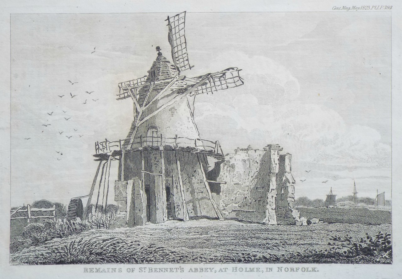 Print - Remains of St. Bennet's Abbey, at Holme, in Norfolk.