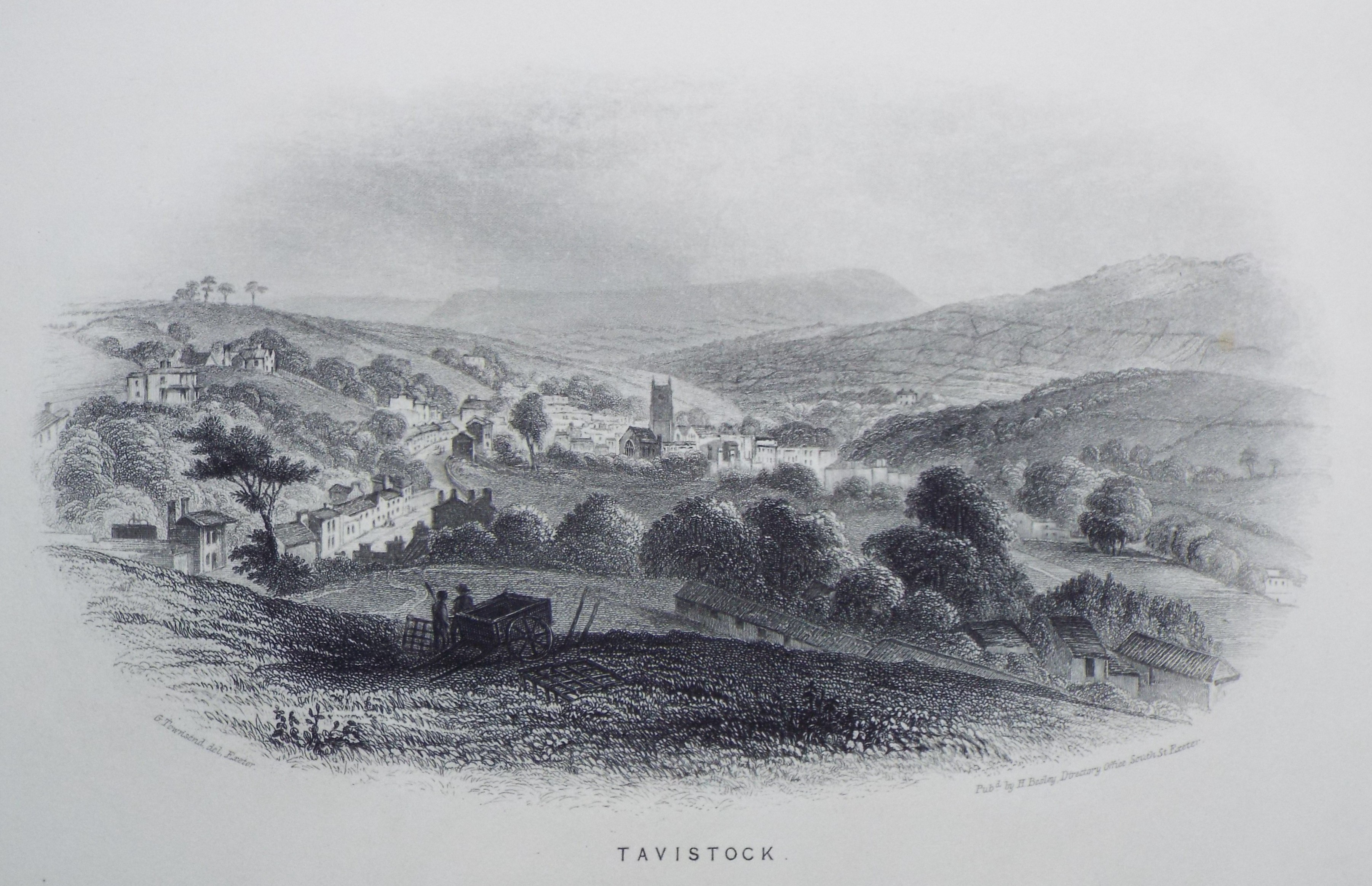 Steel Vignette - Tavistock.