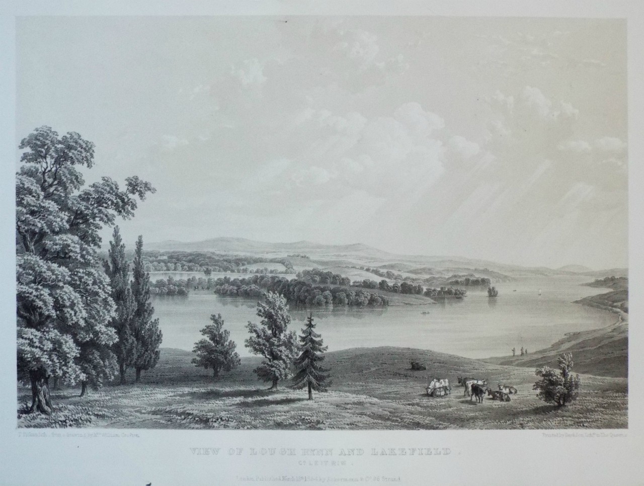 Lithograph - View of Lough Rynn and Lakefield. Co. Leitrim. - Picken
