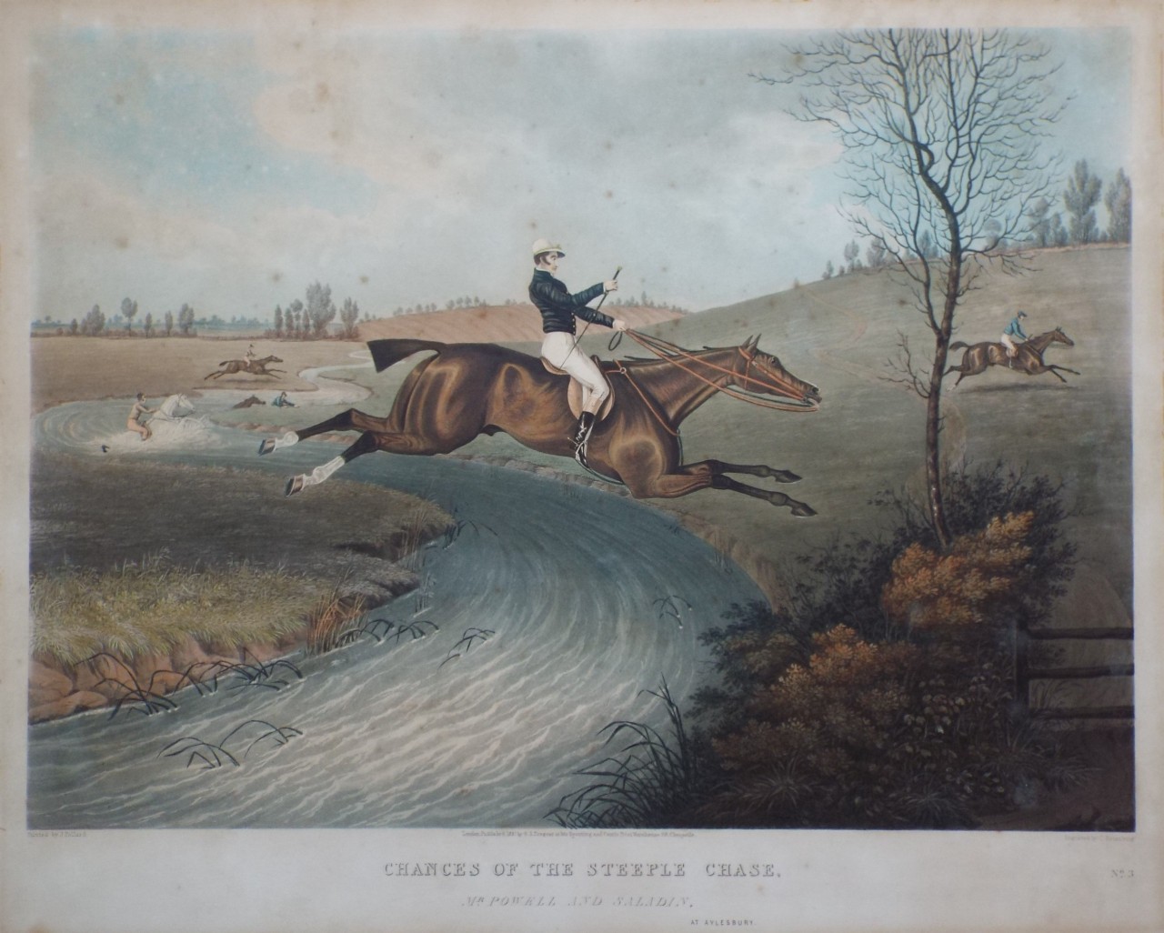 Aquatint - Chances of the Steeple Chase. 3. Mr. Powell and Saladin. At Aylesbury. - Rosenberg