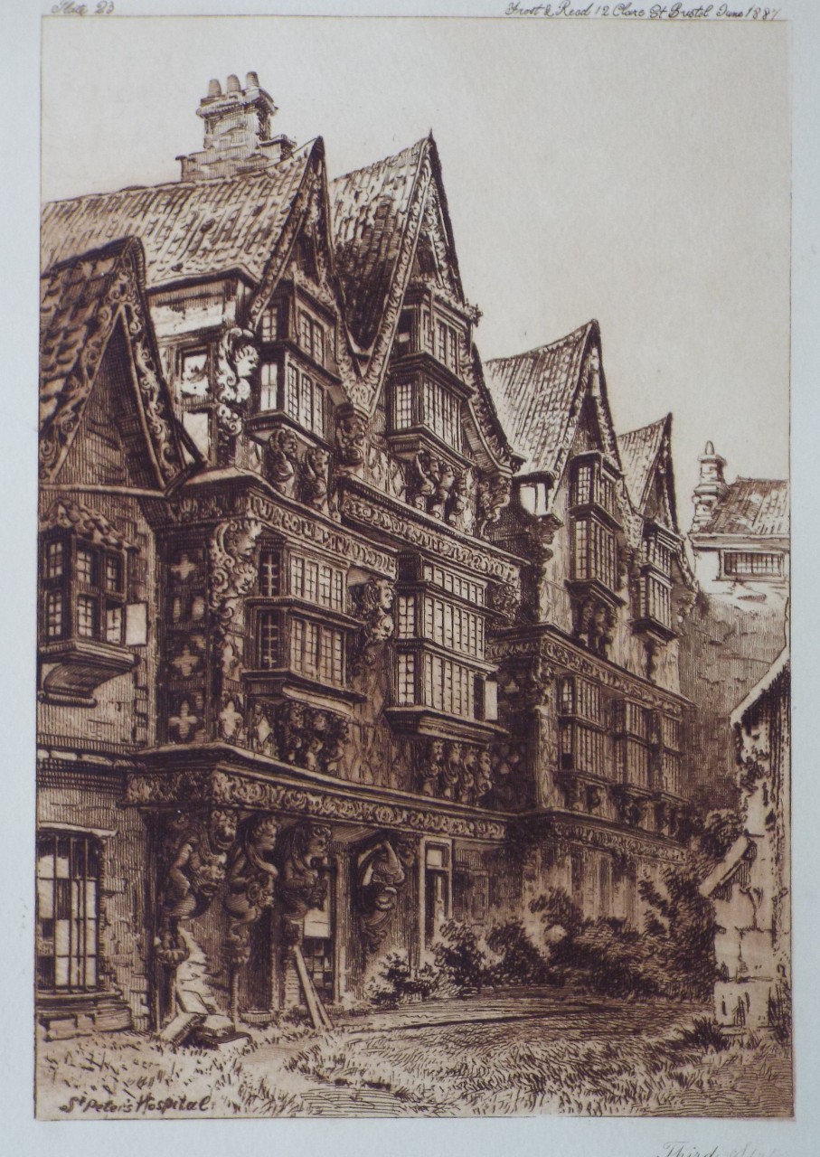 Etching - St. Peter's Hospital - Bird