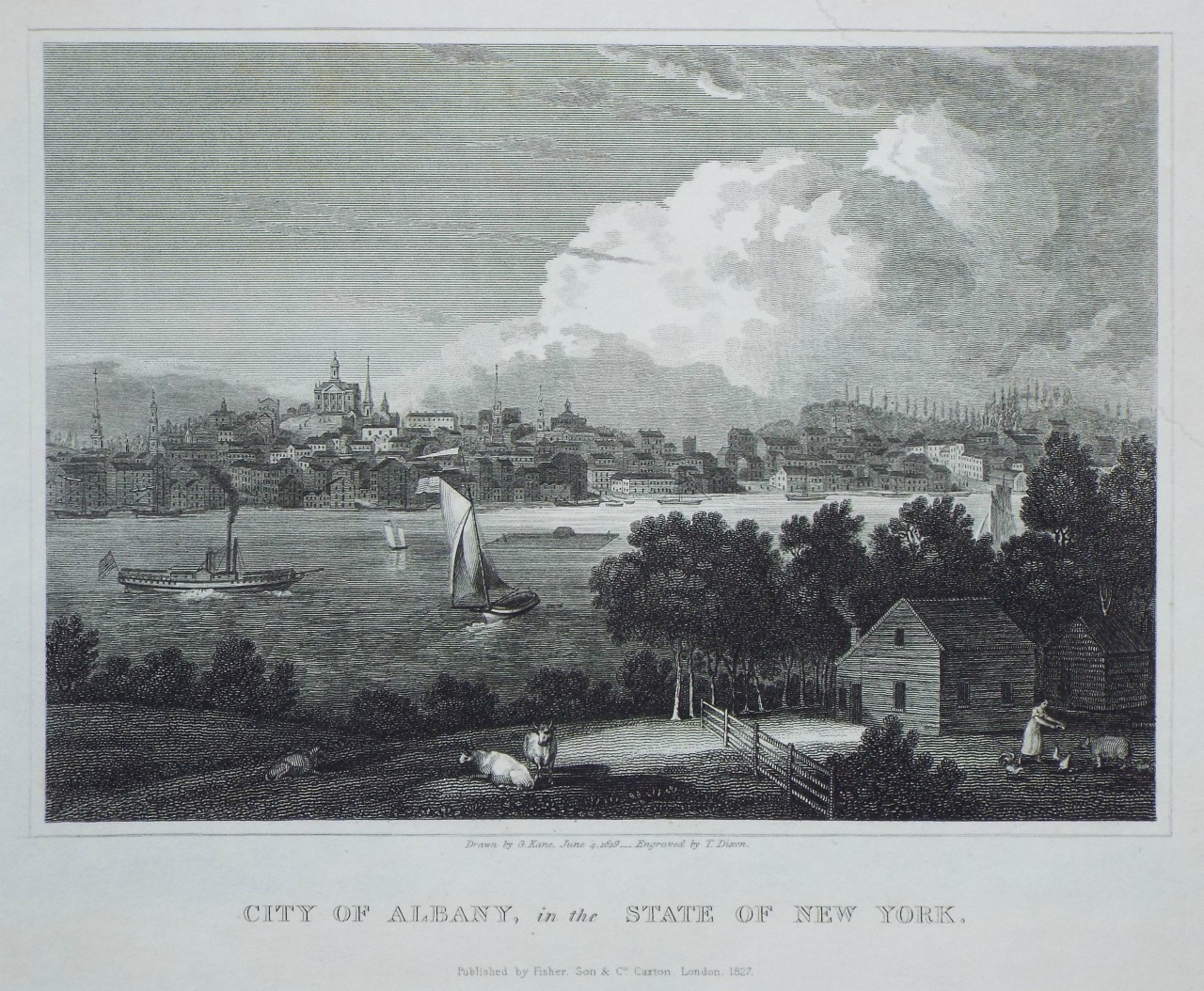 Print - City of Albany, in the State of New York. - Dixon