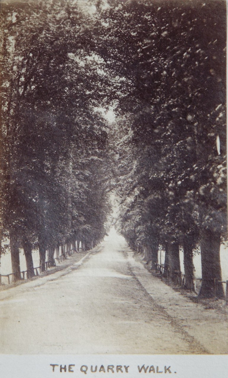 Photograph - Quarry Walk, Shrewsbury