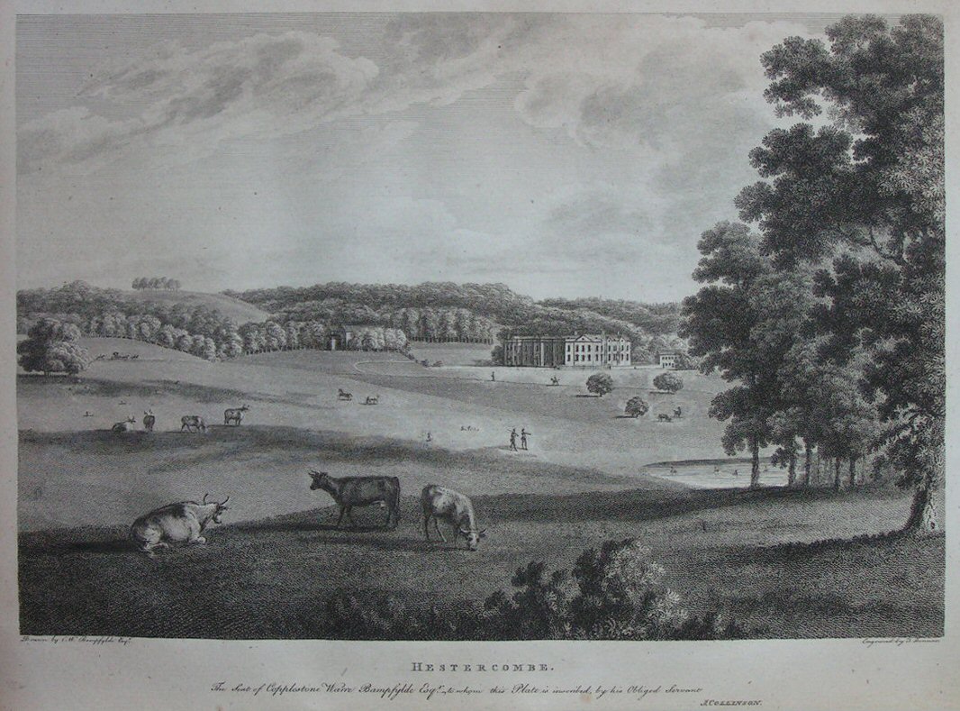 Print - Hestercombe. The Seat of Copplestone Warre Bampfylde Esqr. - Bonnor