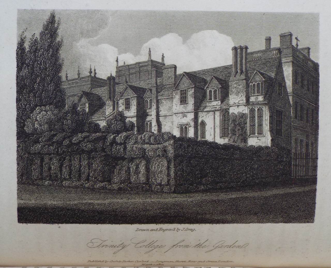 Print - Trinity College from the Garden. - Greig