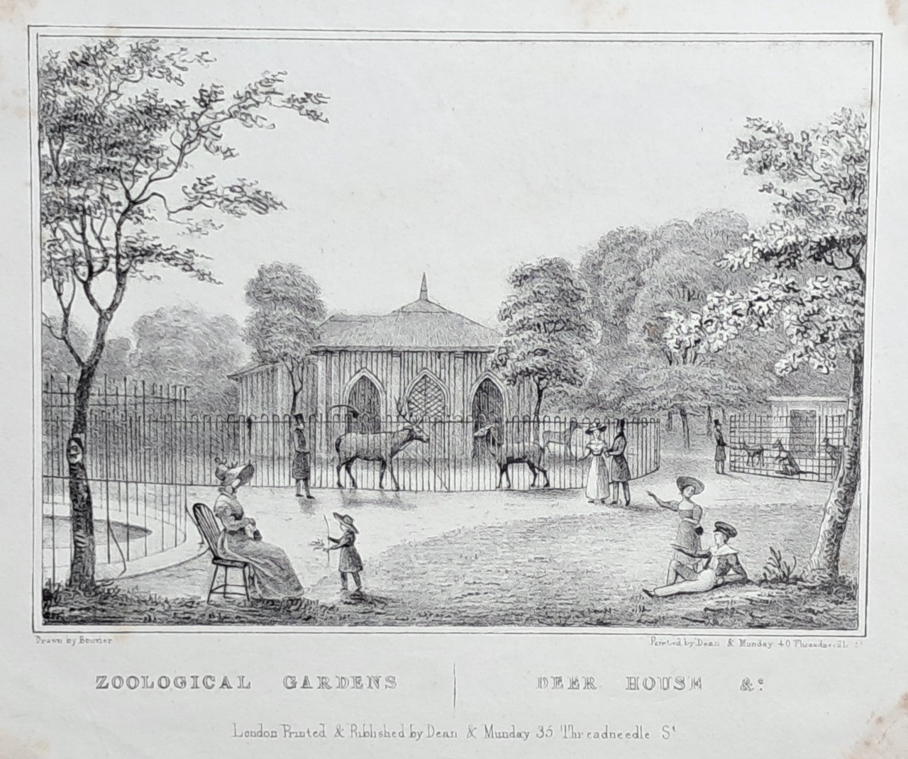 Lithograph - Zoological Gardens | Deer House &c.